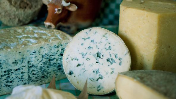 Activities Carousel - Activity 7 - Fromages ©Nathalie Baetens