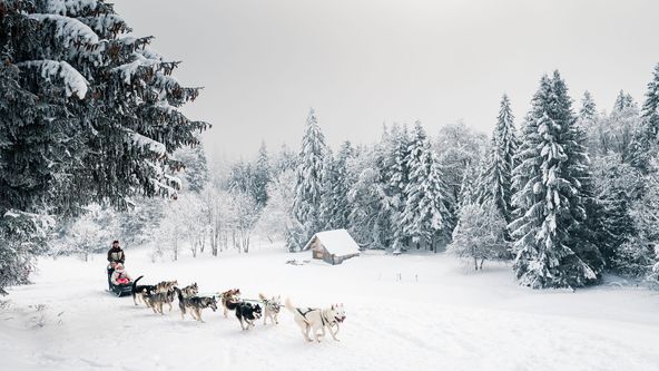 GCAT_076731_A5
